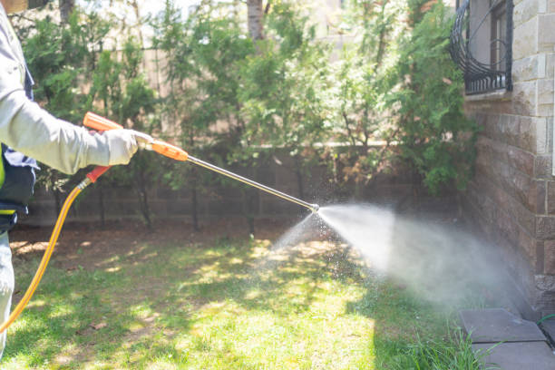Best Pest Prevention Services  in West Swanzey, NH