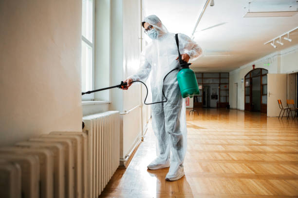 Best Rat Extermination Near Me  in West Swanzey, NH