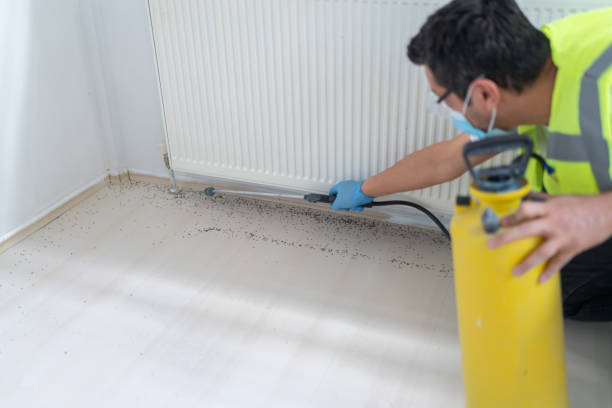 Best Local Pest Control Services  in West Swanzey, NH